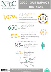 Infographic: Our Impact for the year 2020